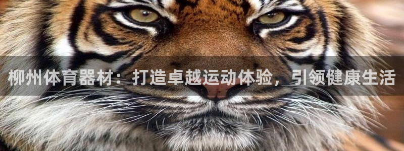 尊龙凯时提现不了