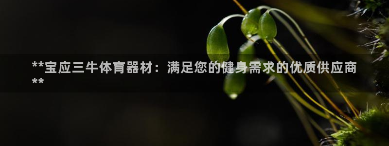 尊龙新版手机app下载