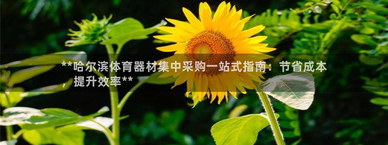 尊龙凯时ag旗舰厅官方网站