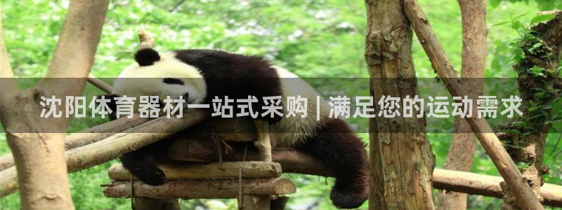 尊龙凯时网站赌愽做假吗