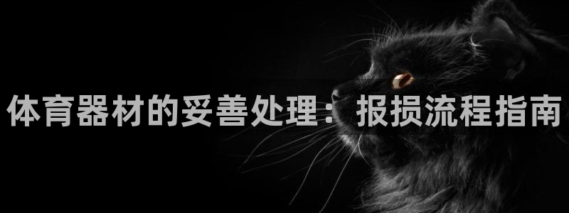 尊龙人生就是博官网登录手机