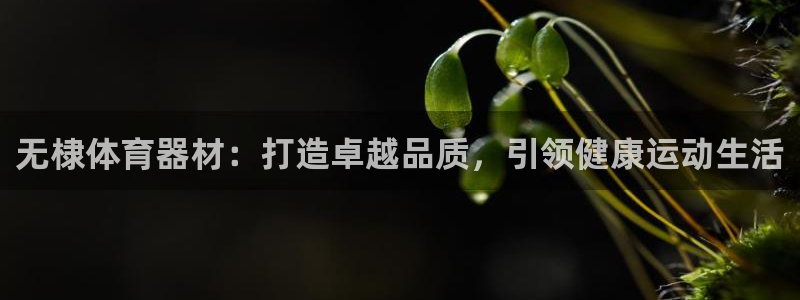 尊龙t400和尊龙t300区别