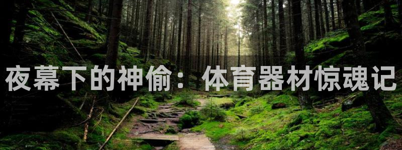 尊龙凯时法拉币