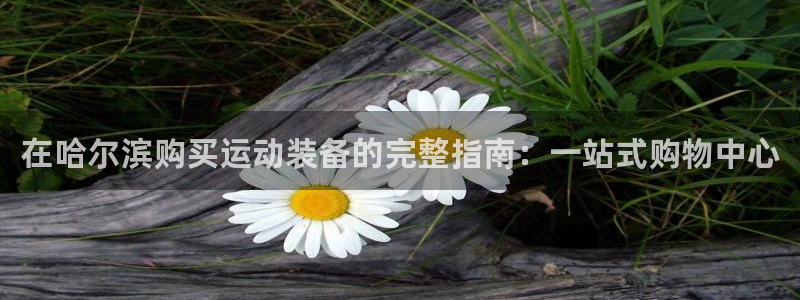 尊龙凯时·中国官方网站