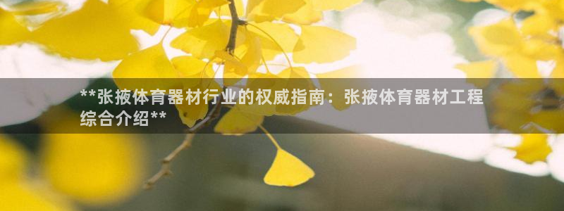 尊龙游戏官方网