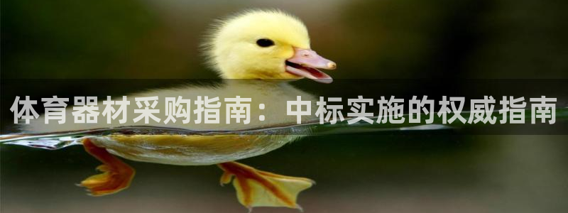 尊龙人生就是博旧版手机可靠送38元