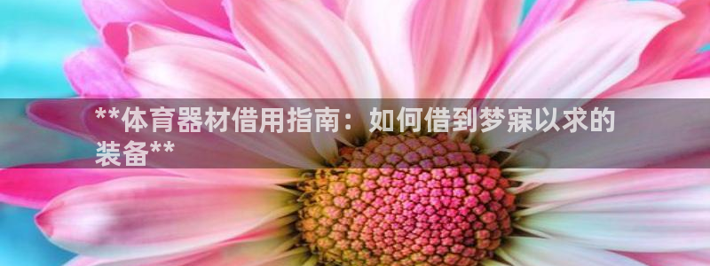 凯时ag旗舰厅登录