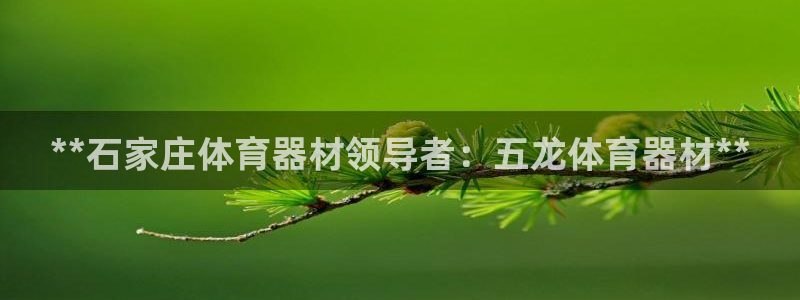 凯时游戏官方网站