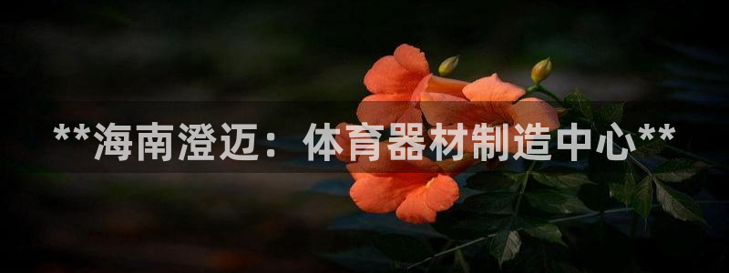 尊龙人生就是博旧版手机可靠送38元