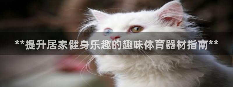 尊龙手机客户端下载APP