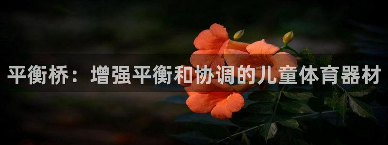 尊龙平台有谁玩过