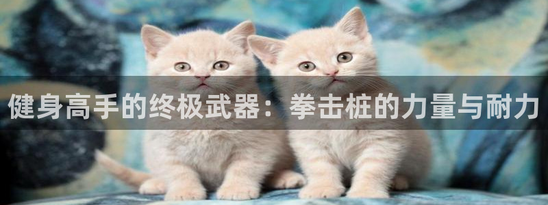 尊龙体育电竞官网