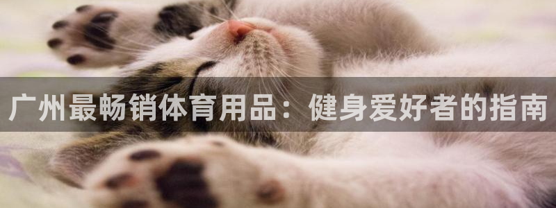 尊龙凯时人生就是博·(中国)官网：广州最畅销体育用品：健身爱