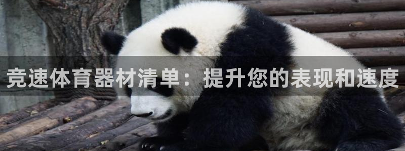 尊龙官网免费下载安装