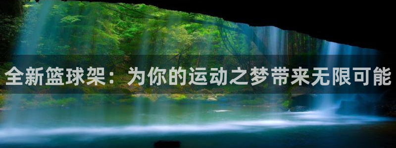 尊龙2020：全新篮球架：为你的运动之梦带来无限可能