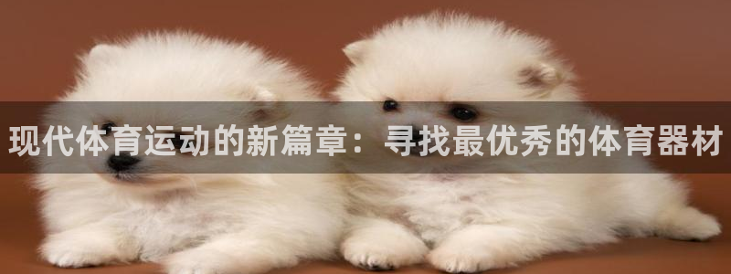 尊龙 6：现代体育运动的新篇章：寻找最优秀的体育器材