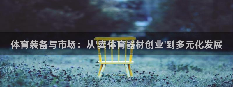 凯时k66登录：体育装备与市场：从\'卖体育器材创业\'到多