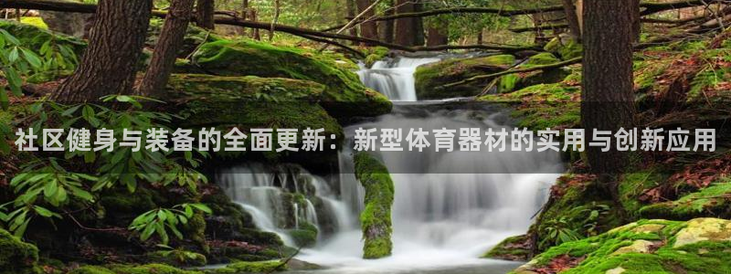 尊龙软件下载：社区健身与装备的全面更新：新型体育器材的实用与