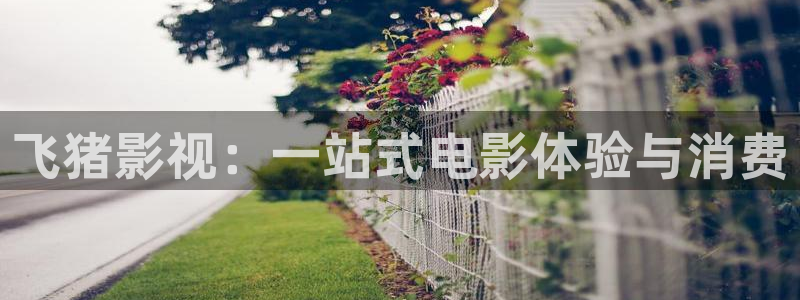 狂飙电视剧全集免费播放真不卡影院