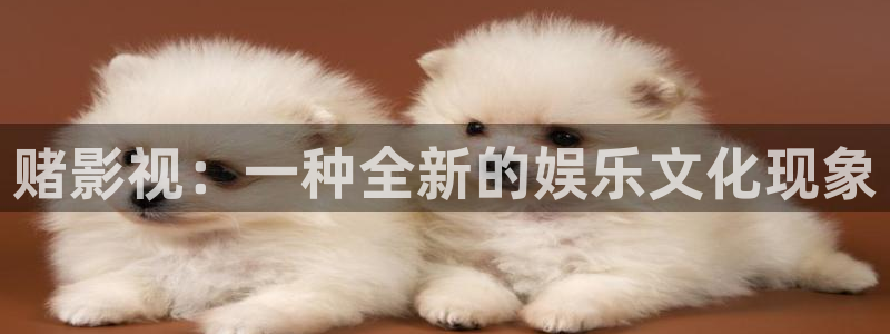 真不卡影院电视剧：赌影视：一种全新的娱乐文化现象