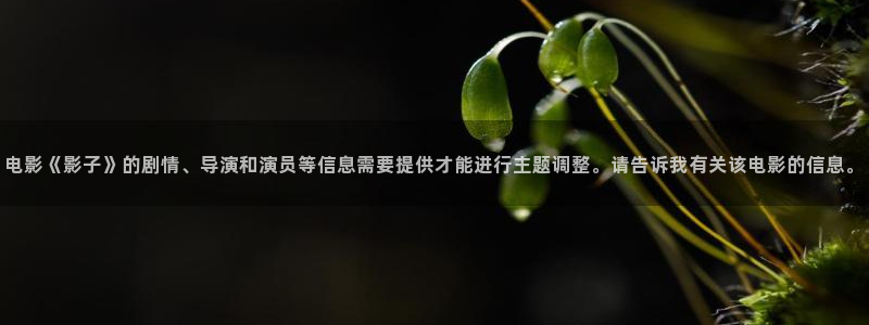 真不卡影院伦理：电影《影子》的剧情、导演和演员等信息需要提供才能进行主题调整。请告诉我有关该电影的信息。